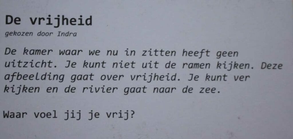 de gedachtenkamer
