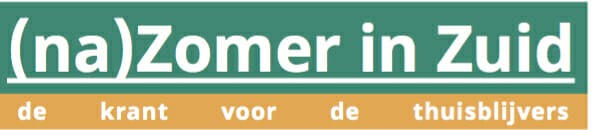 nazomerinzuid logo