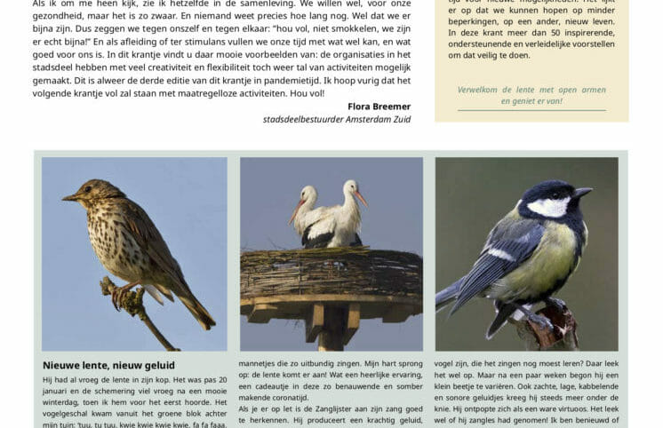 Voorpagina Lente in Zuid krant