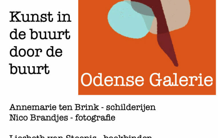 Odense Galerie 10 juli