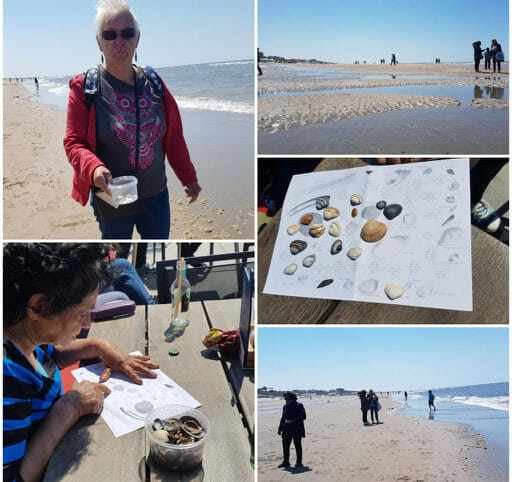 uistapje zandvoort oh zuidoost