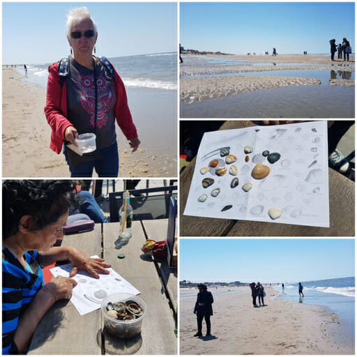 uistapje zandvoort oh zuidoost