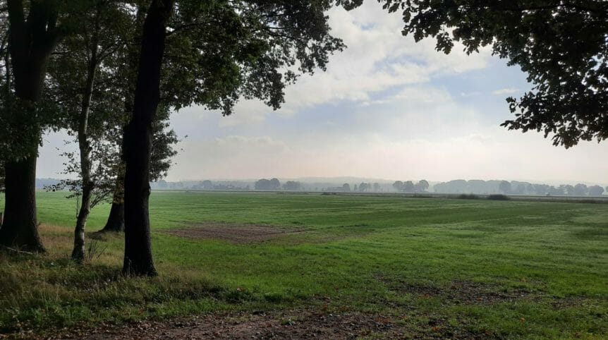 foto nico brandjes