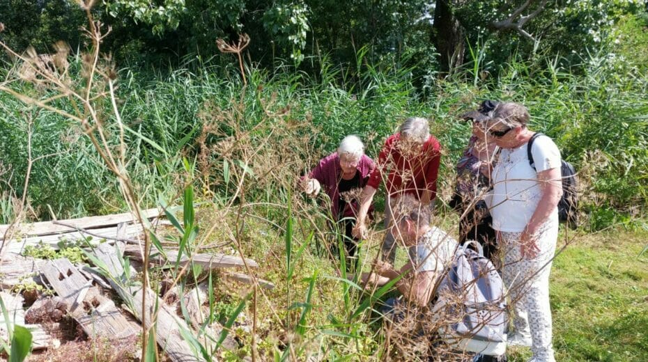 excursie koeienweide