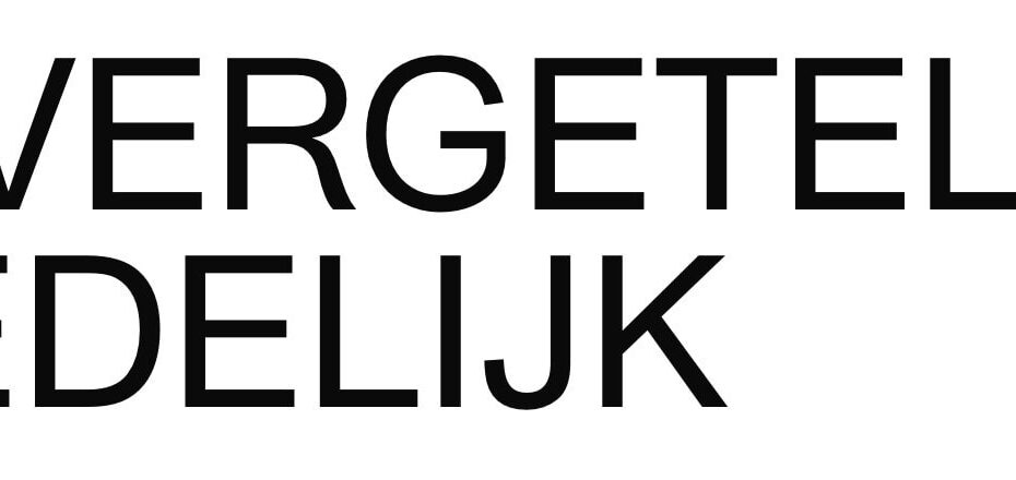 Onvergetelijk Stedelijk, op pad in Zuid